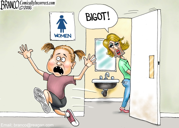 Image result for transgender cartoon